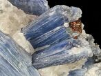 Vibrant Blue Kyanite Crystals In Quartz - Brazil #56933-3